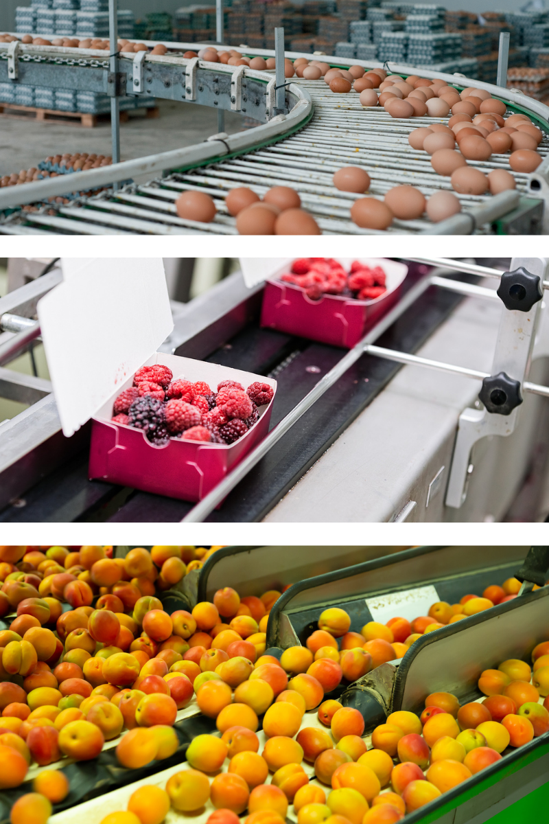 Quality, Compliance, and Production Software for the Food & Beverage Industry